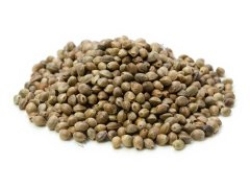 Kendir Kenevir Tohumu 5 Kg