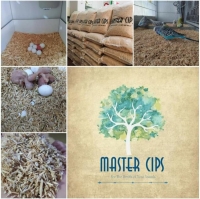 Master Cips Taban ve Yuvalık malzemesi (1. sınıf Çam cipsi) (5kg)