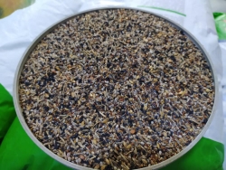 Natural King Yabani Sağlık Tohumu Karışımı 5 kg