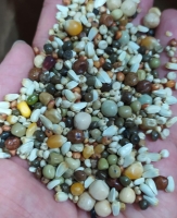 Premium Bird Güvercin Karışık Yemi Buğdaysız 20kg 