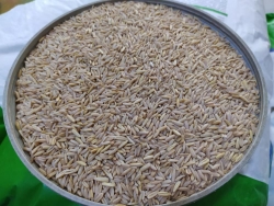 Soyulmuş İç Yulaf 5Kg
