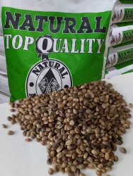 Natural İnce Tozsuz Kenevir Tohumu (kendir) 20 kg